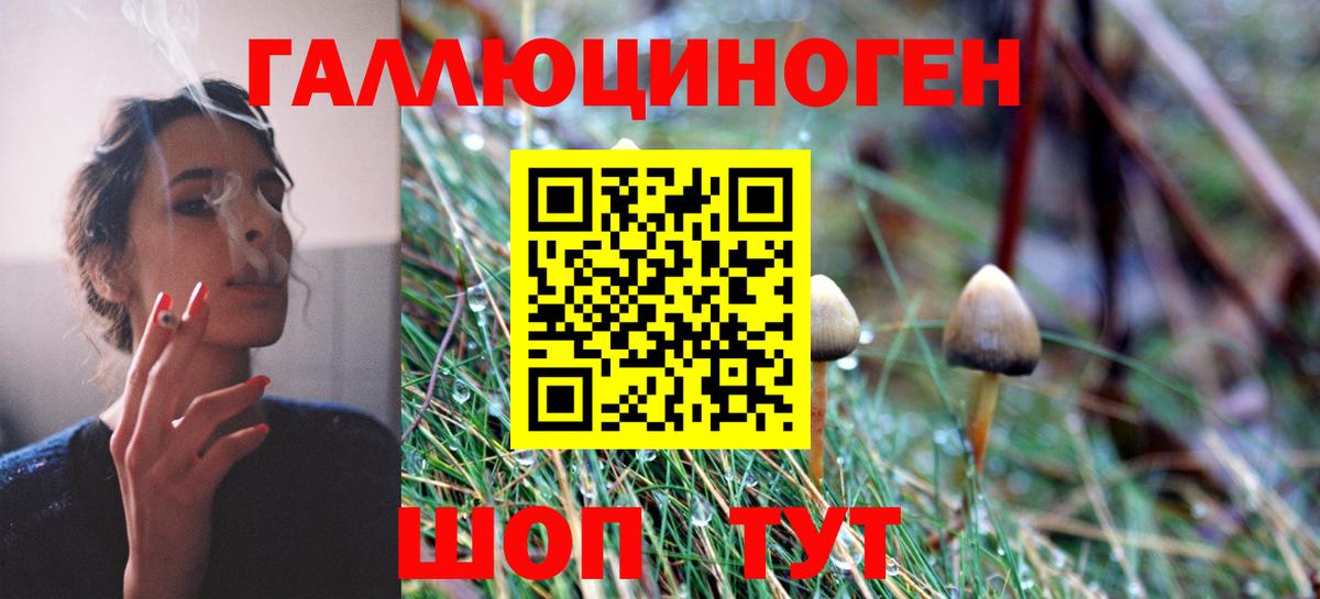 Галлюциногенные грибы мухоморы  Вход с VPN  Великие Луки 
