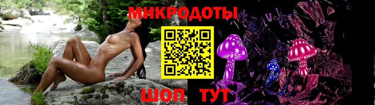 Галлюциногенные грибы Psilocybine cubensis Великие Луки